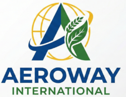 aeroway int